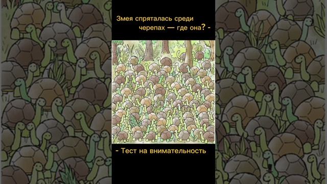 Тест на внимательность смотреть онлайн