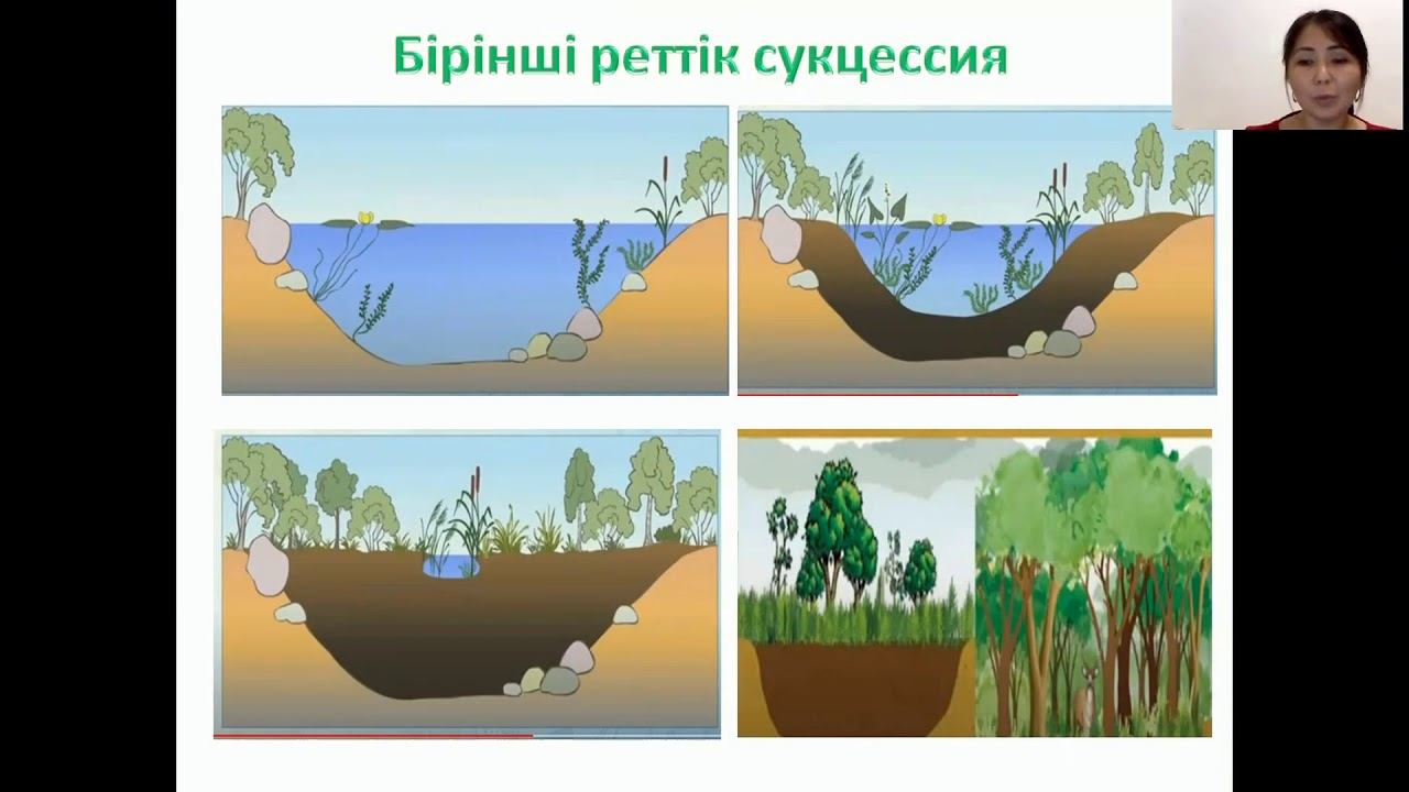 6-сынып. Биология пәні. Экожүйенің ауысымы смотреть онлайн