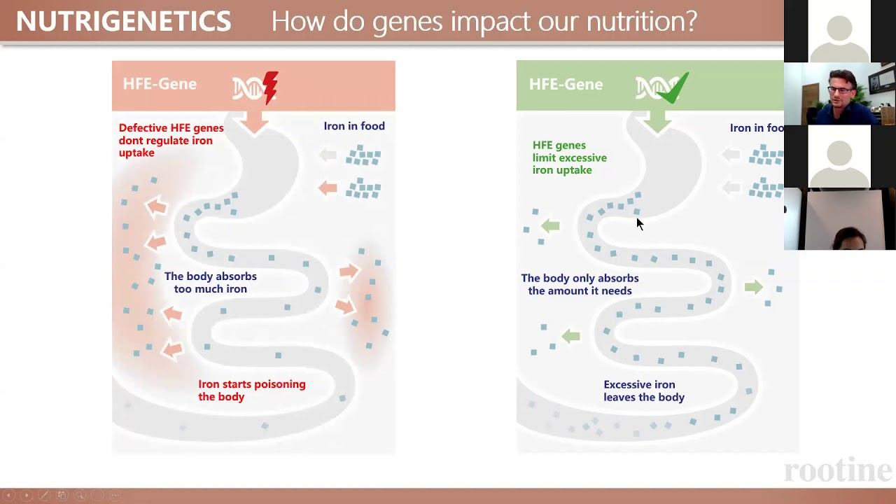 Understanding HFE Gene Mutations and Iron Intake смотреть онлайн