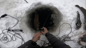 11. Проверка перемёта на Енисее после мороза. Чёрная дыра, налим.