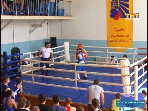 Победители получили награды смотреть онлайн