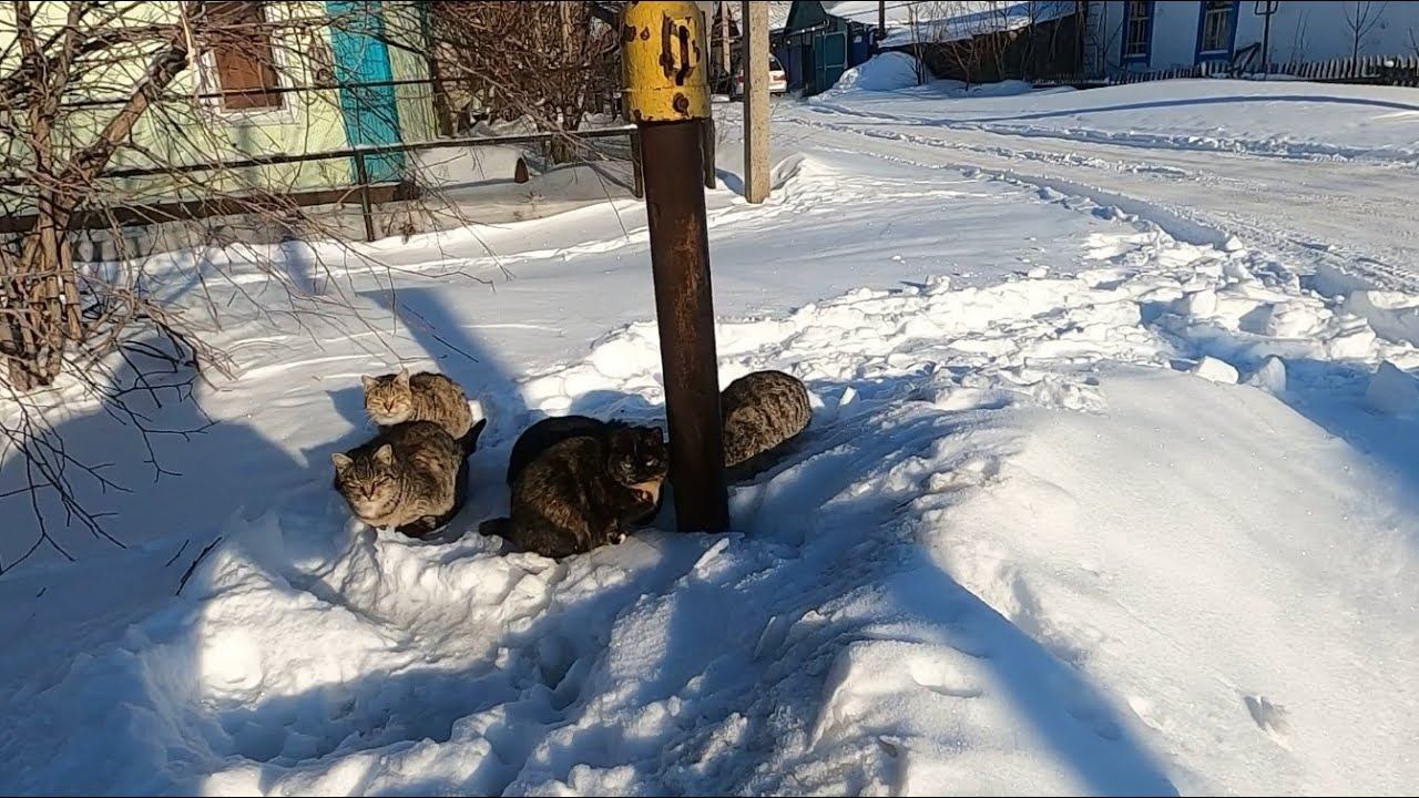 Костанай, Чудеса смотреть онлайн