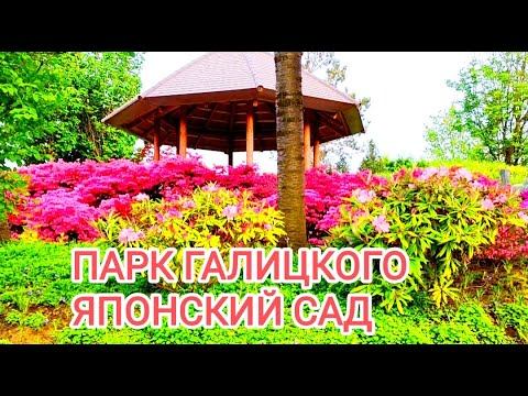 Россия. Краснодар. Парк Галицкого. Японский сад. смотреть онлайн