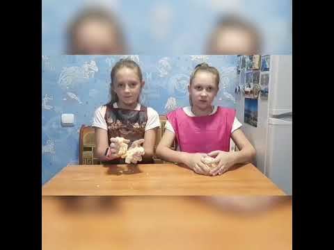 Эксперименты для детей проводят Полина Братцева и Ульяна Шумская. смотреть онлайн