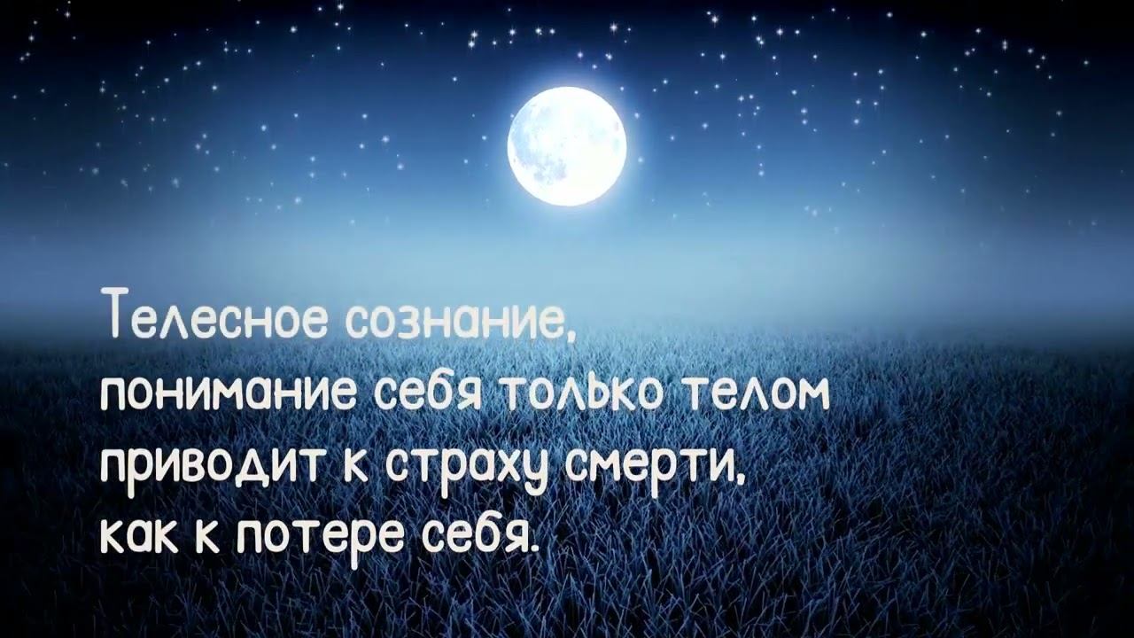 Телесное сознание приводит к страху смерти смотреть онлайн