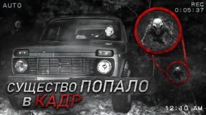 СНЯЛ ЭТО СУЩЕСТВО В ЛЕСУ НА КАМЕРУ