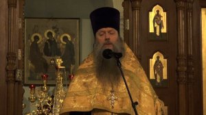 «О радостотворной и Богоугодной печали». Проповедь протоиерея Артемия Владимирова. 231124.