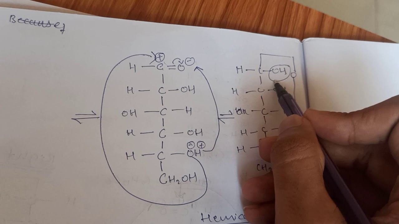 Fischer and haworth structure and mechanism of alpha and beta glucose смотреть онлайн