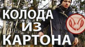 Ловля роёв в сезоне 2025. Картонная колода с кольцами ППС