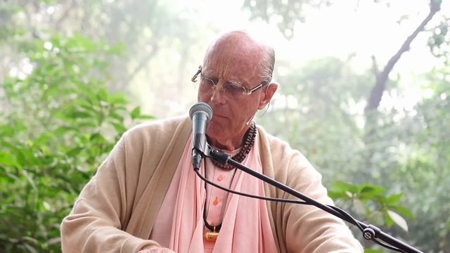 2024.11.06 Бандира Ван 02 Шрила Индрадьюмна Свами киртан смотреть онлайн