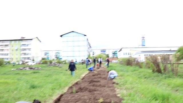 Аллея выпускников 2020 9кл смотреть онлайн