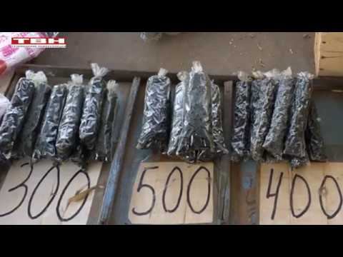 Сообщи где торгуют смертью смотреть онлайн