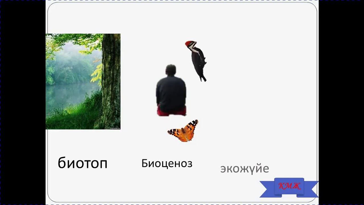 6 сынып экожүйе смотреть онлайн