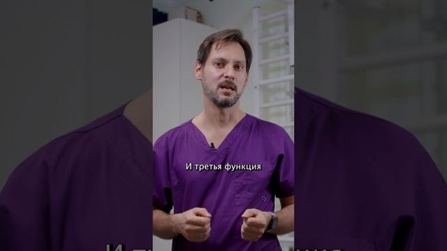 Почему мы можем стоять на коленях? - Жировое тело Гоффа смотреть онлайн