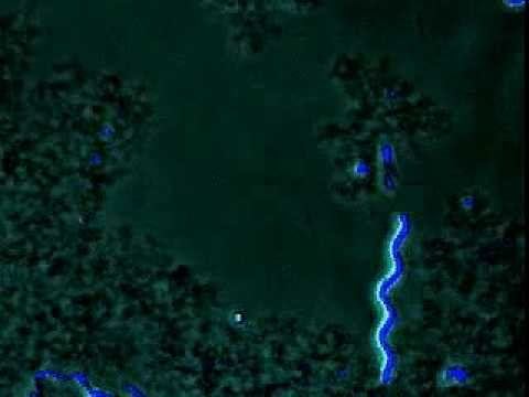 4 6 spirillum смотреть онлайн