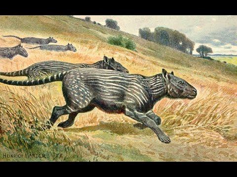 Кондиляртры смотреть онлайн