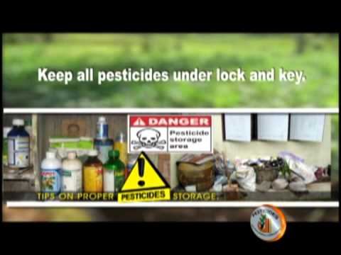 Pesticides Storage смотреть онлайн