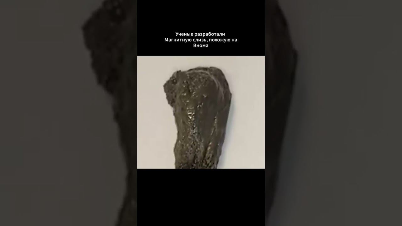 ВЕНОМ В РЕАЛЬНОЙ ЖИЗНИ! смотреть онлайн