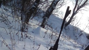 охота с пневматикой мр512,поиск куропатки