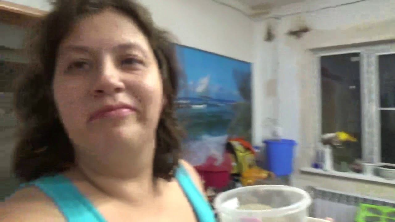 Чиним ДОИСТОРИЧЕСКУЮ плиту Режем салатики смотреть онлайн