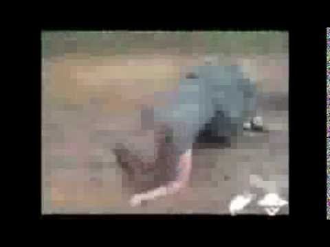 Законопослушные граждане