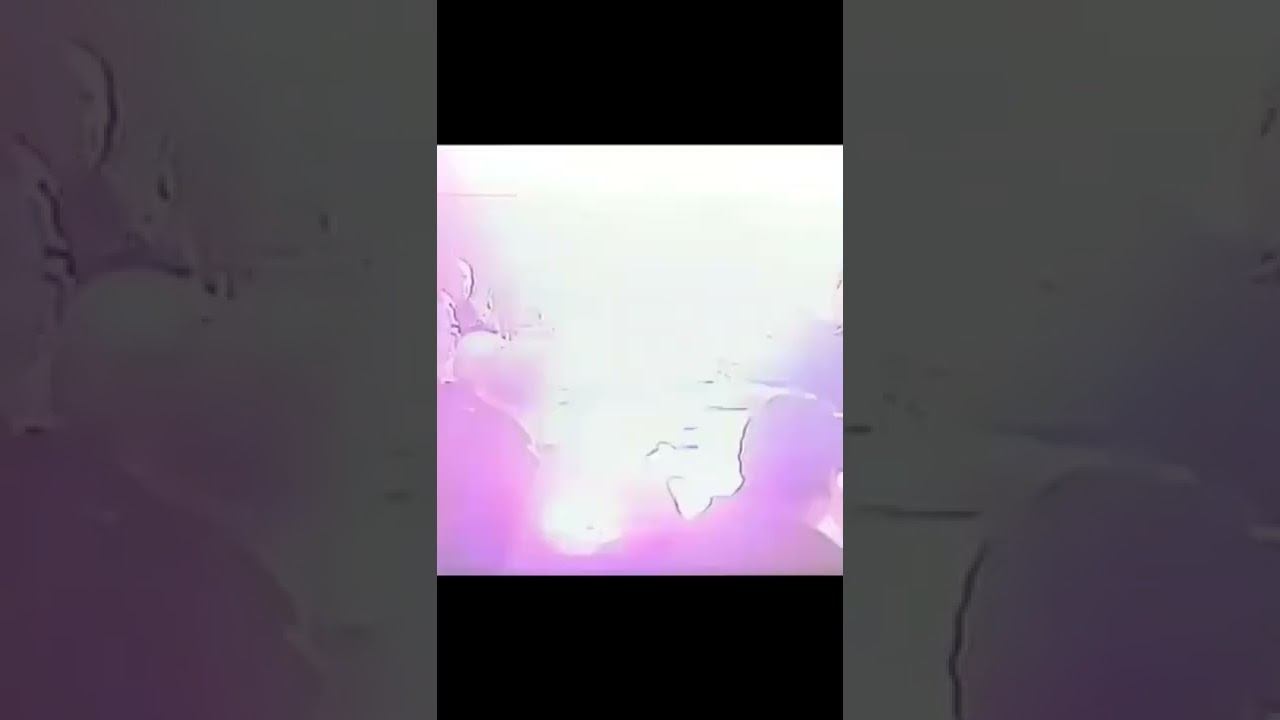 Заседание Президиума Верховного Совета СССР. Доклад Василия Кузнецова (1978) смотреть онлайн