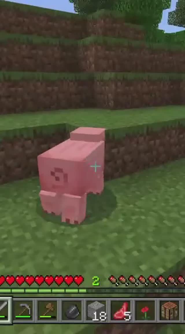 Minecraft. Обзор игры.