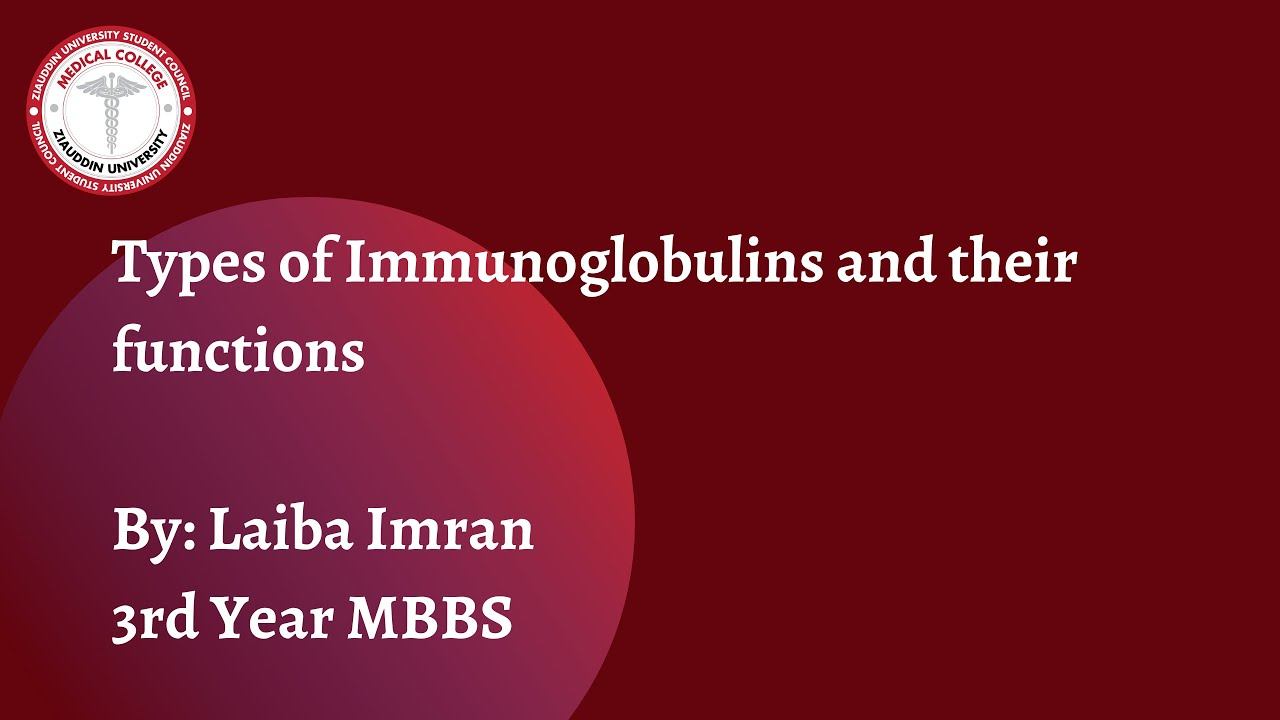 Types of Immunoglobulins and their functions смотреть онлайн