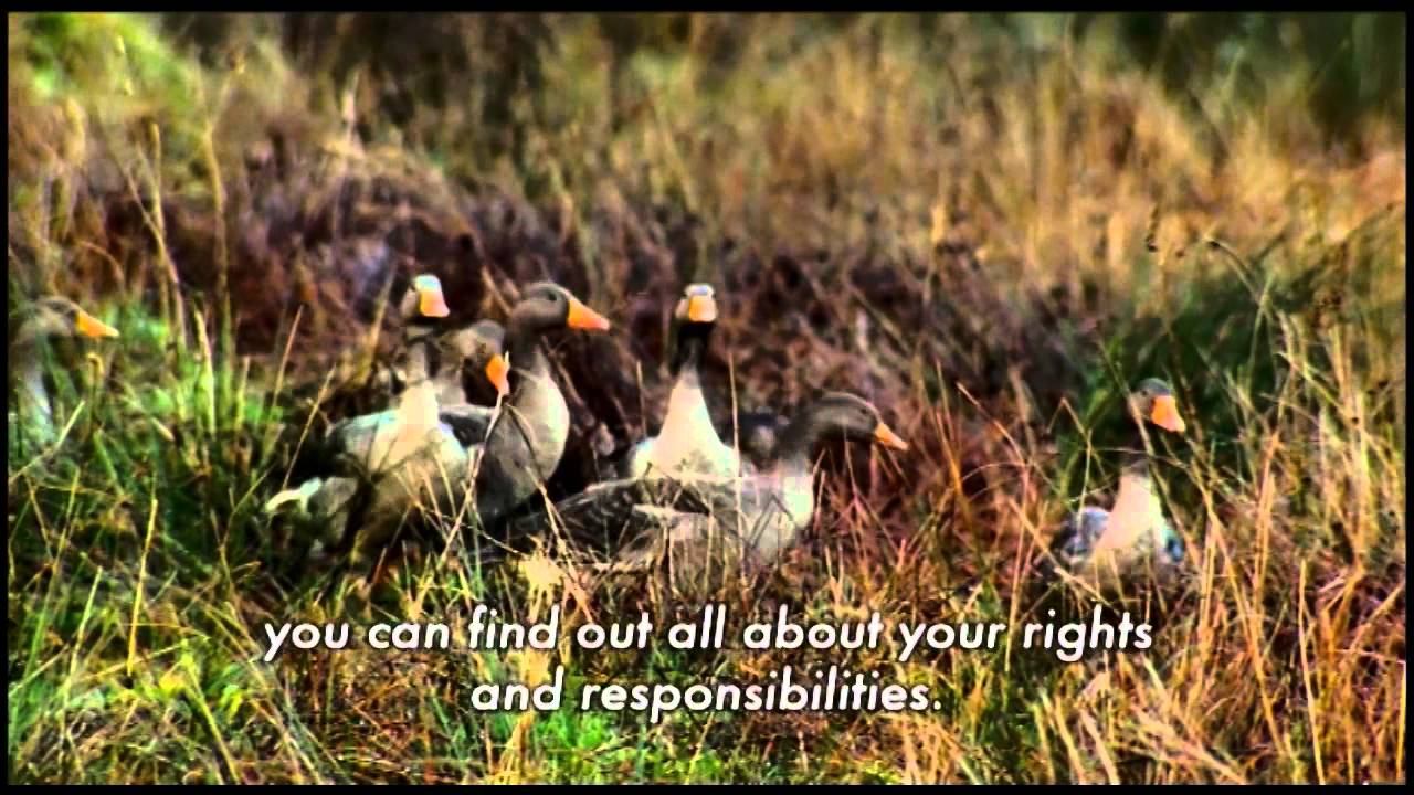 Scottish Outdoor Access Code - TV ad 2 (with subtitles) смотреть онлайн