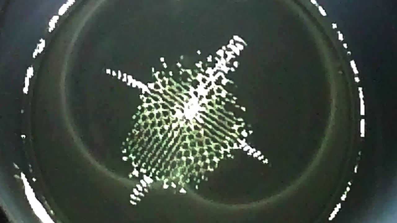 Киматика воды. Вибрации звука. Water Cymatics