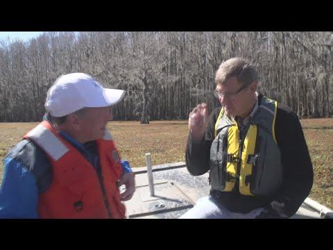 HOOKED ON EAST TEXAS: Giant Salvinia смотреть онлайн