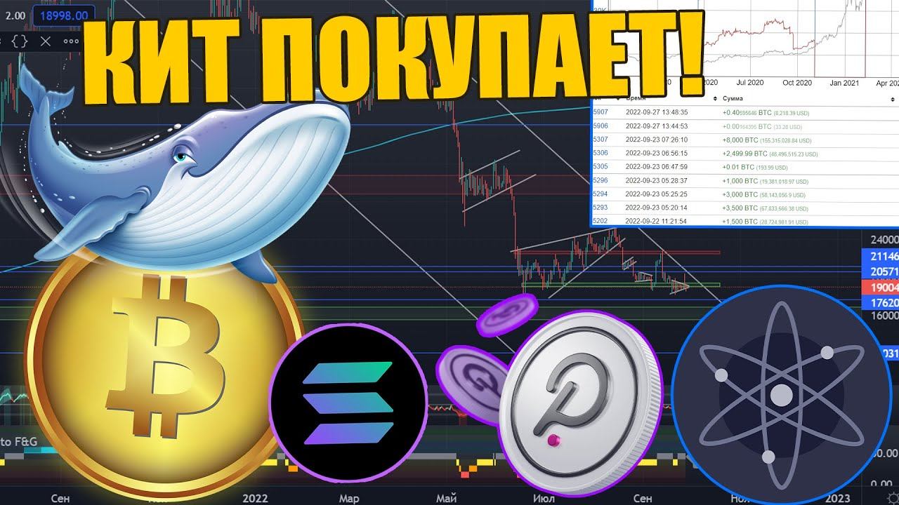 КИТ ПОКУПАЕТ БИТКОИН! НОВАЯ ТОКЕНОМИКА ATOM, ОБНОВЛЕНИЕ DOT! АЛЬТКИОНЫ, КРИПТОВАЛЮТА смотреть онлайн