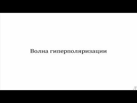 3.3 Параметры нервной системы. Волна гиперполяризации смотреть онлайн