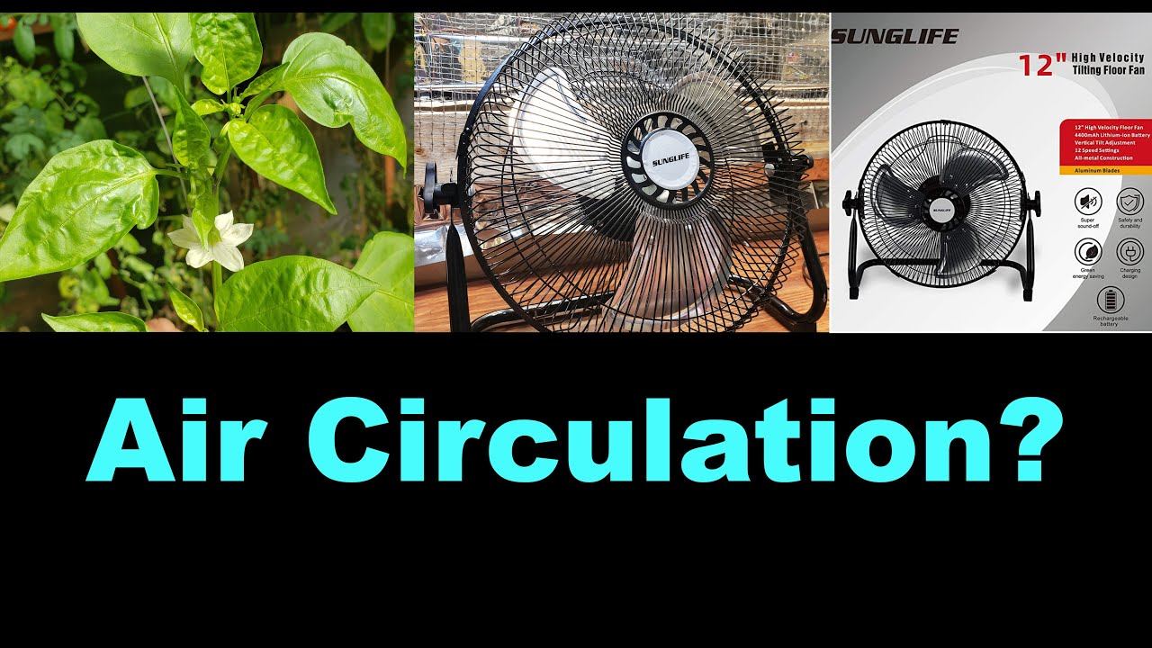 Greenhouse Air Circulation – and Sunglife High Velocity 12 inch Fan Review смотреть онлайн
