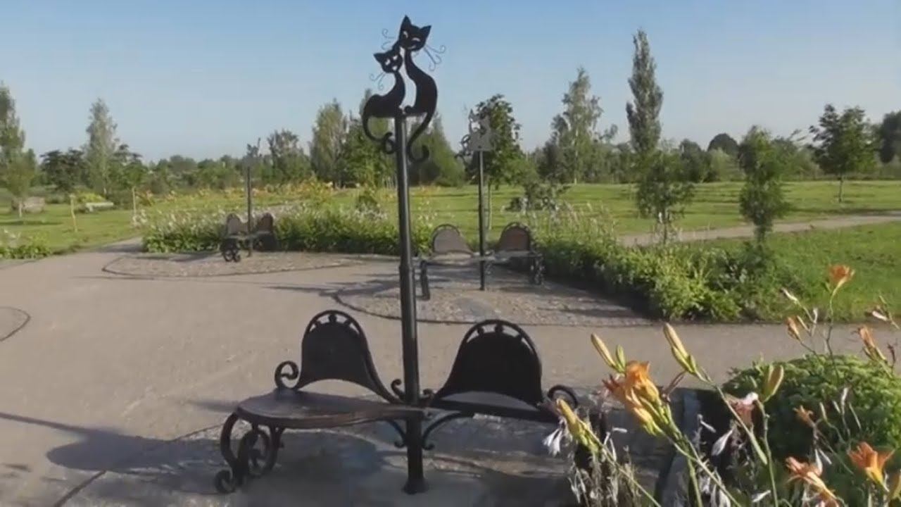 самые романтические скамейки в Великом Новгороде смотреть онлайн