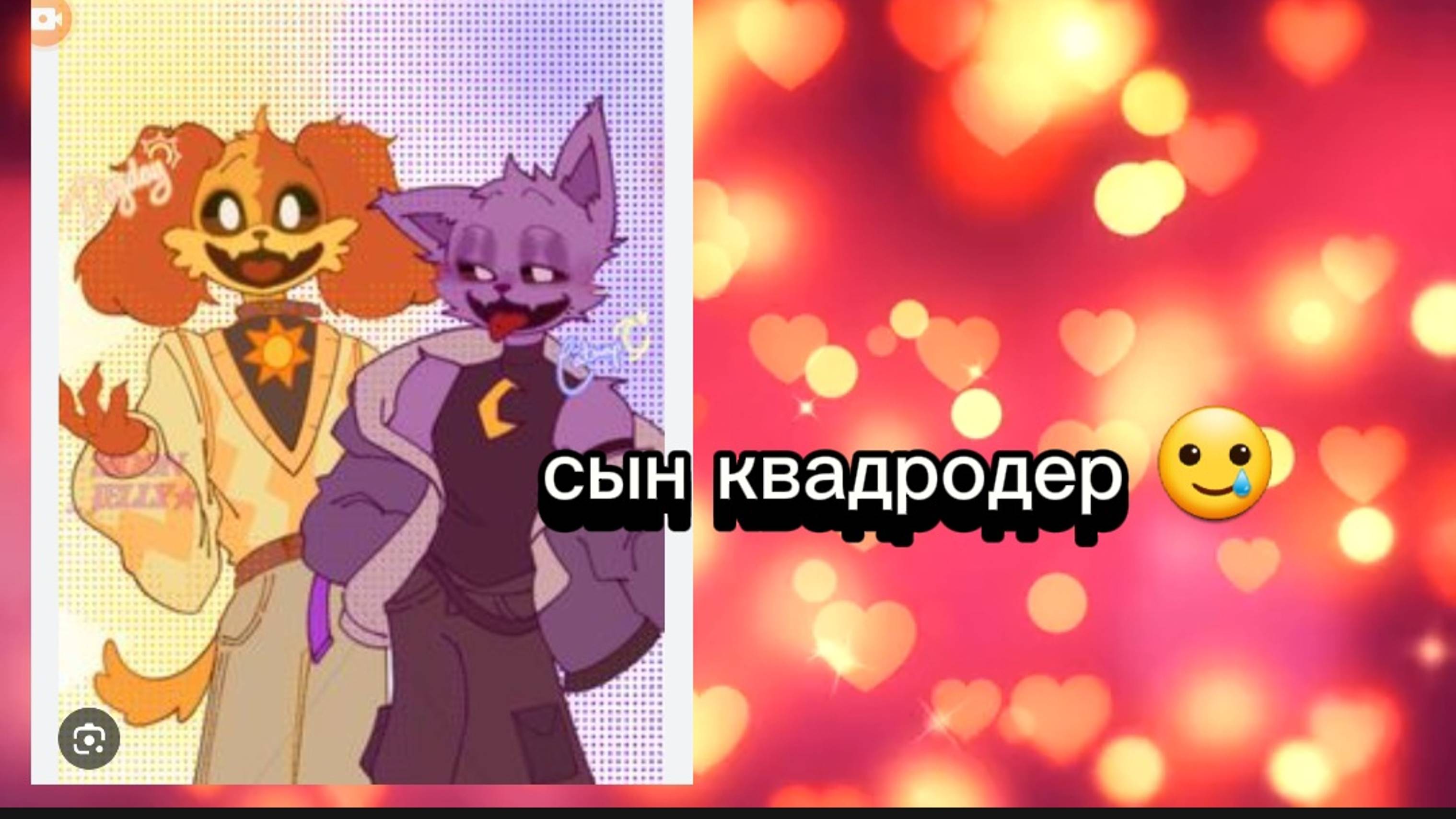 Мой сын стал квадробиром семья DOGDAY