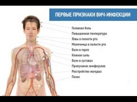 Биология: Тайны природы