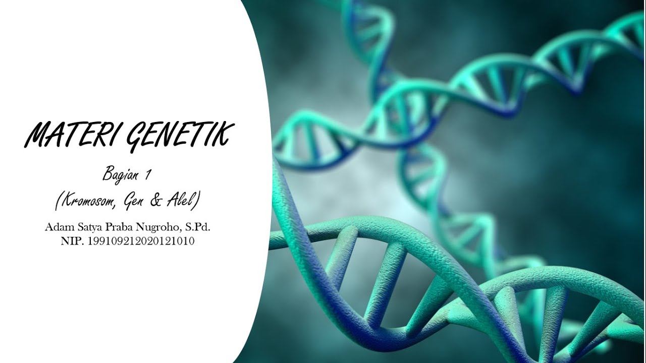 Biologi XII Materi Genetik Bagian 1 (Kromosom, Gen & Alel) смотреть онлайн