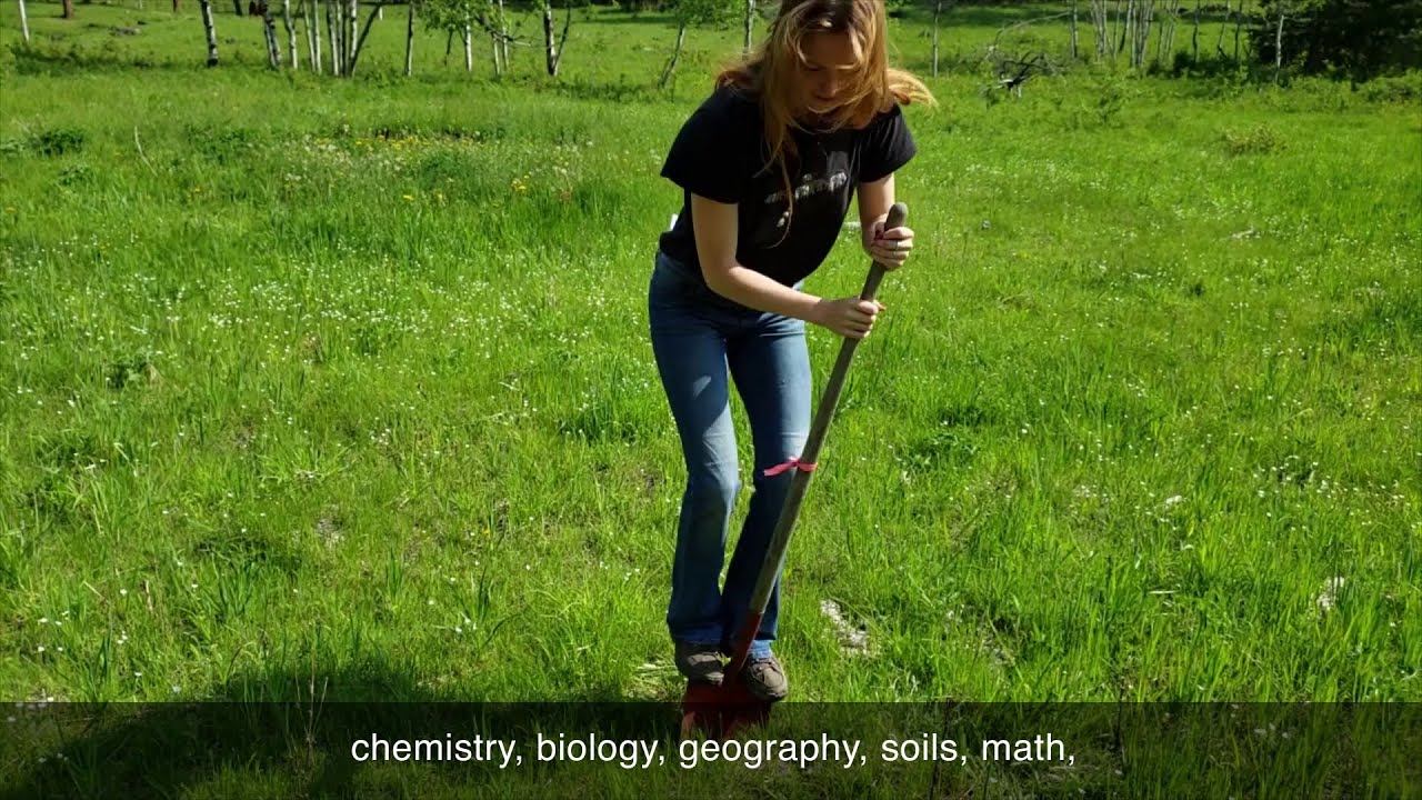 What can you do with a degree in conservation? смотреть онлайн