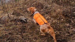 Молли за работой.