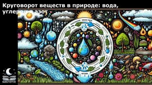 Круговорот веществ в природе: вода, углерод и азот