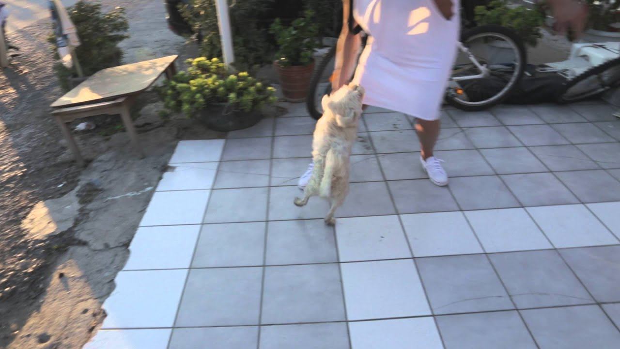 Греческий монстр нападает на беззащитную деву смотреть онлайн