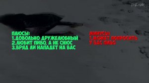 Все виды снюсоедов плюсы и минусы