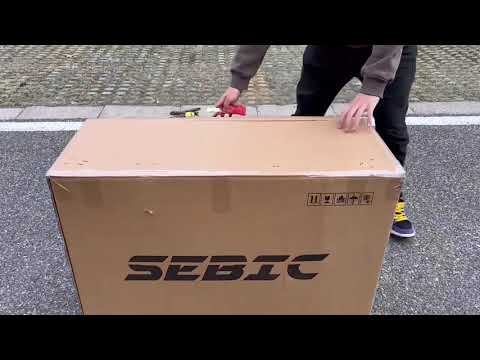 SEBIC 20'' Folding 36V/7.5Ah Removable Battery Electric Bike SE200 смотреть онлайн