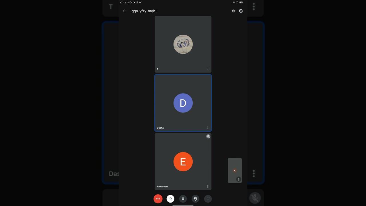 биология ОГЭ - группа В3 - Балашова Дарья, Фандюшин Тихон, Мехоношина Лиза - зачёт 24 декабря 2023 смотреть онлайн