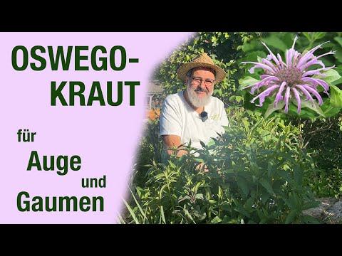 Oswegokraut sieht wunderschön aus schmeckt super смотреть онлайн