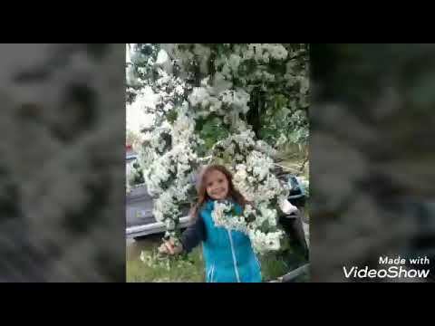 2 октября 2020 г. Флора. смотреть онлайн