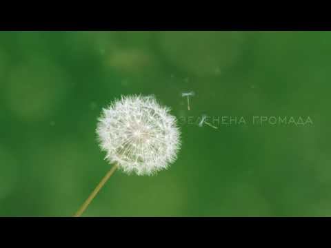Символ України - Тризуб смотреть онлайн