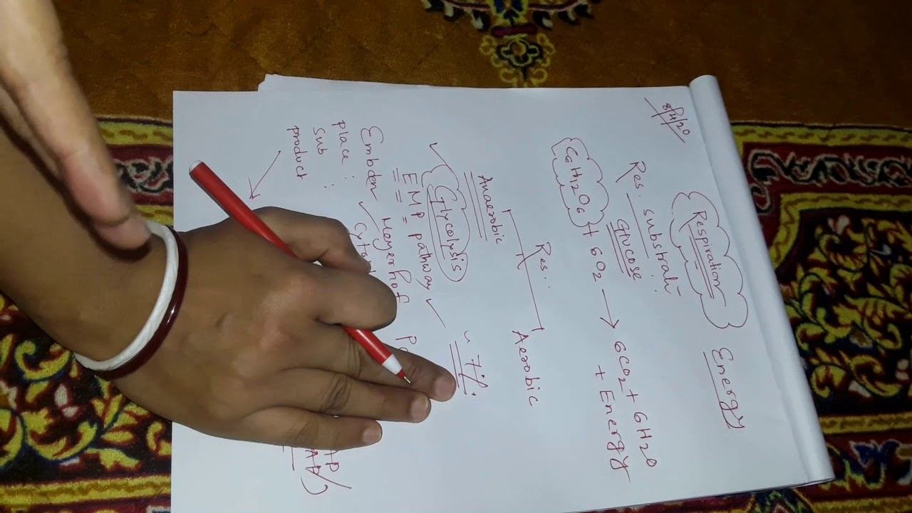 Life Process RESPIRATION Part I смотреть онлайн