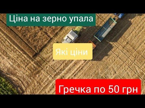 Ціна на ЗЕРНО падає ЯКІ ЦІНИ для ОДНОСІБНИКА смотреть онлайн